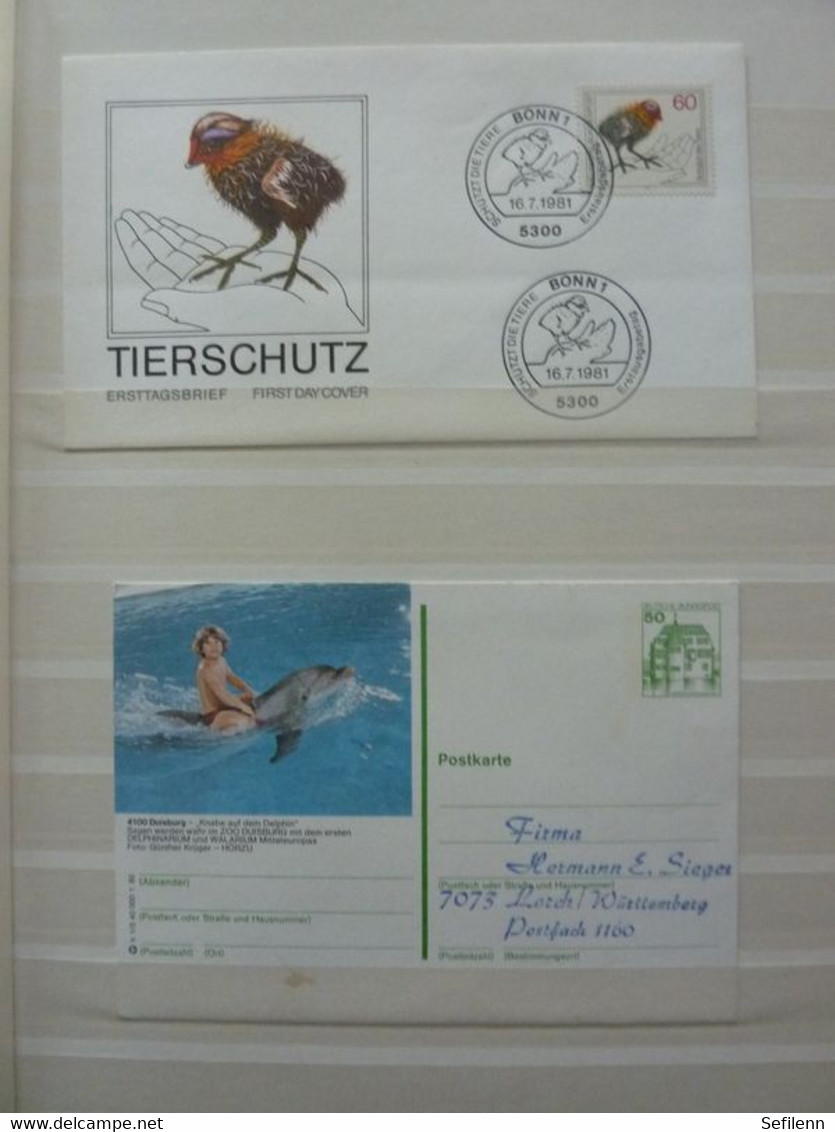 Various countries a.o Austria(till 2009),Topics,birds,thematics in 3 stokbooks+album pages