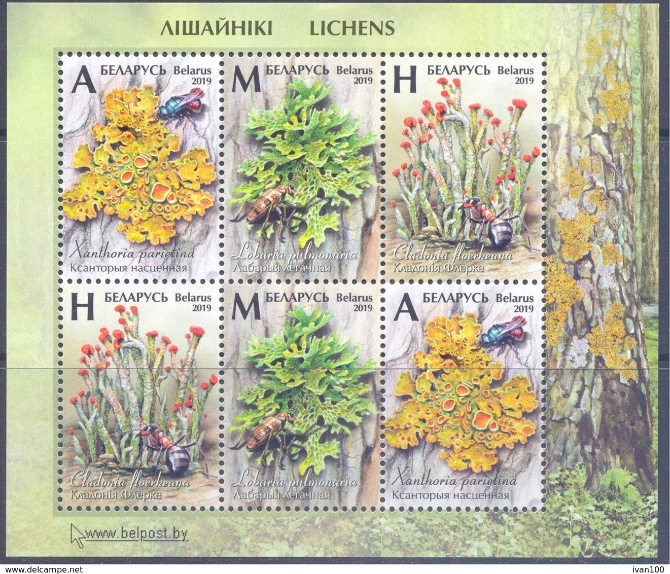 2019. Belarus, Flora Of Belarus, Lichens, S/s, Mint/** - Belarus