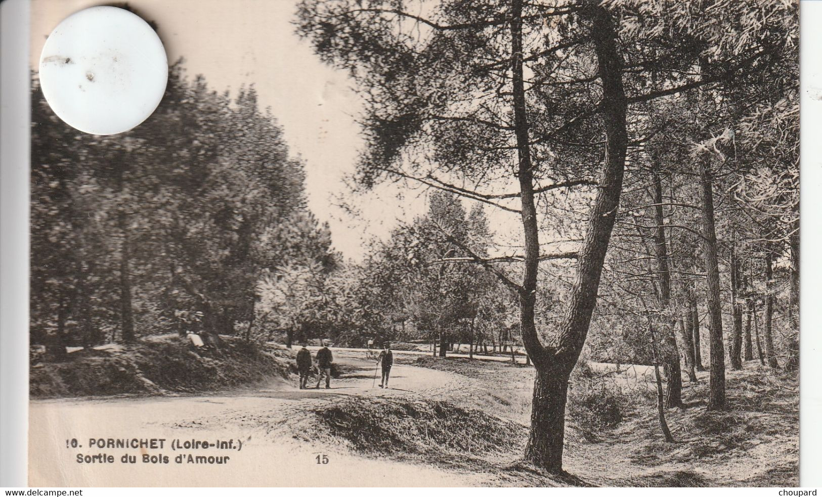 44 - Carte Postale Ancienne  De   PORNICHET Sortie Du Bois D'Amour - Pornichet