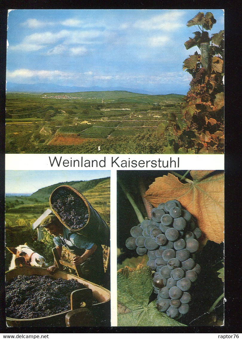 CPM Allemagne Weinland KAISERSTUHL Multi Vues - Kaiserstuhl