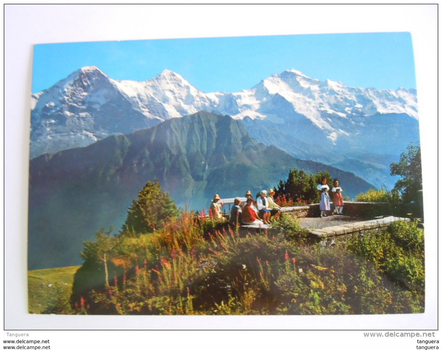 Cpsm Suisse Alpengarten Schynige Platte  Eiger Mönch Jungfrau Photo Gyger - Wilderswil