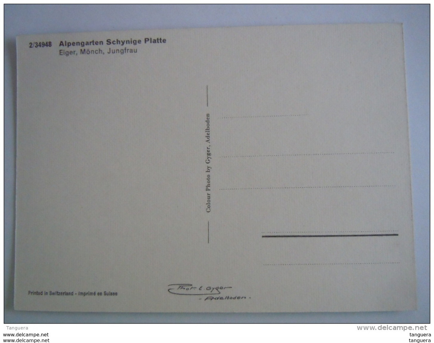 Cpsm Suisse Alpengarten Schynige Platte  Eiger Mönch Jungfrau Photo Gyger - Wilderswil