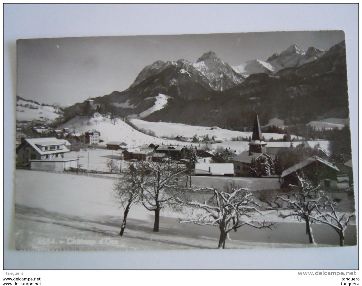 Cpsm Suisse Château D'Oex Panorama 4654 Edit SG - Château-d'Œx