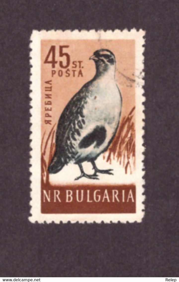 Bulgarie / Bulgária  - 1959  Birds   Perdrix, Cailles - TB - - Rebhühner & Wachteln