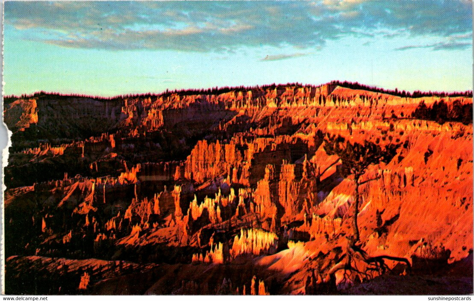 Utah Bryce Canyon National Park Sunrise At Sunrise Point - Bryce Canyon