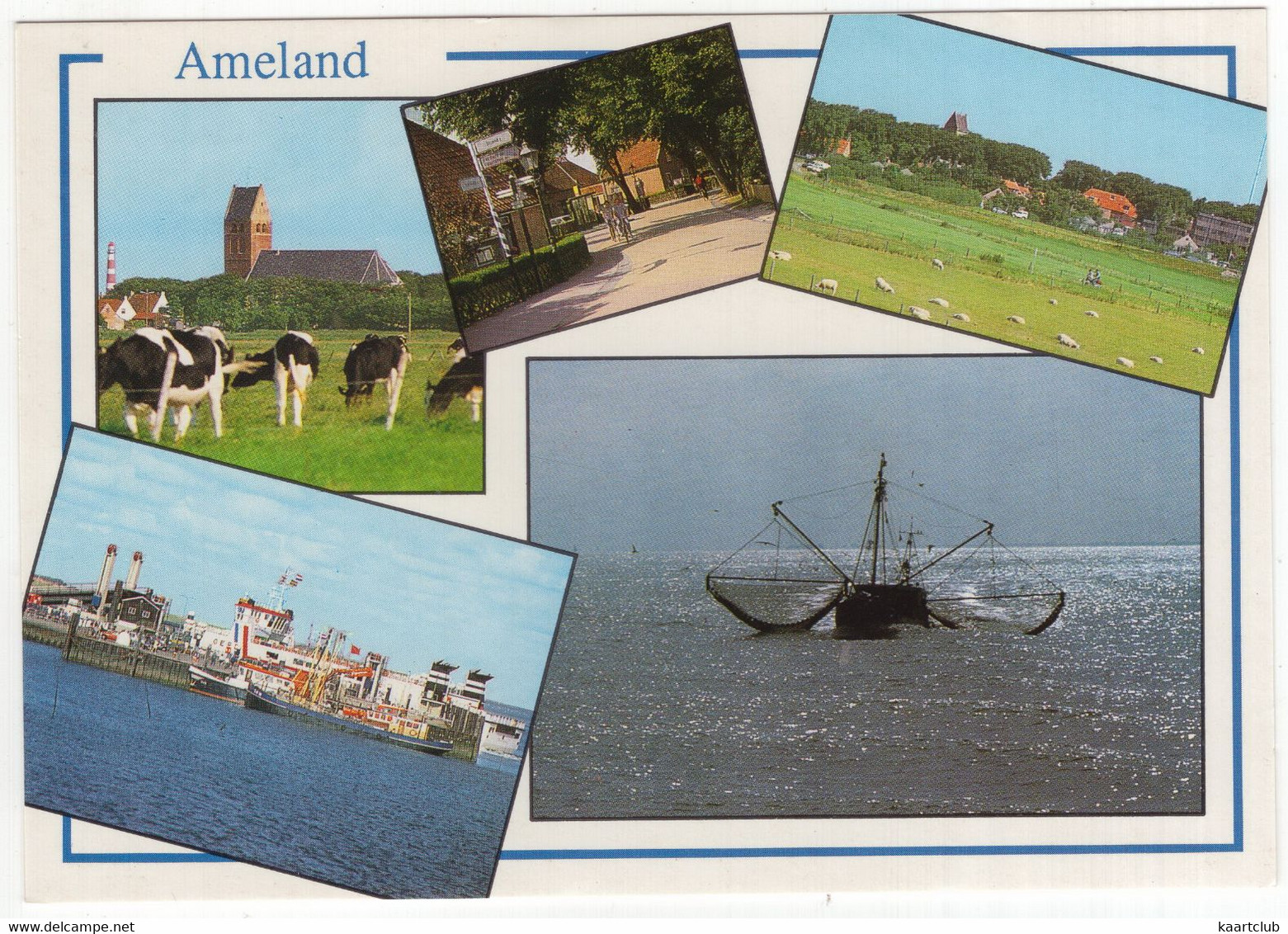 Ameland - (Wadden, Nederland) - Nr. AMD 37 - Vee, Vissersschepen - Ameland