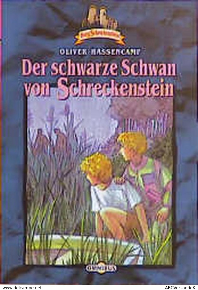 Burg Schreckenstein / Der Schwarze Schwan Von Schreckenstein - German Authors