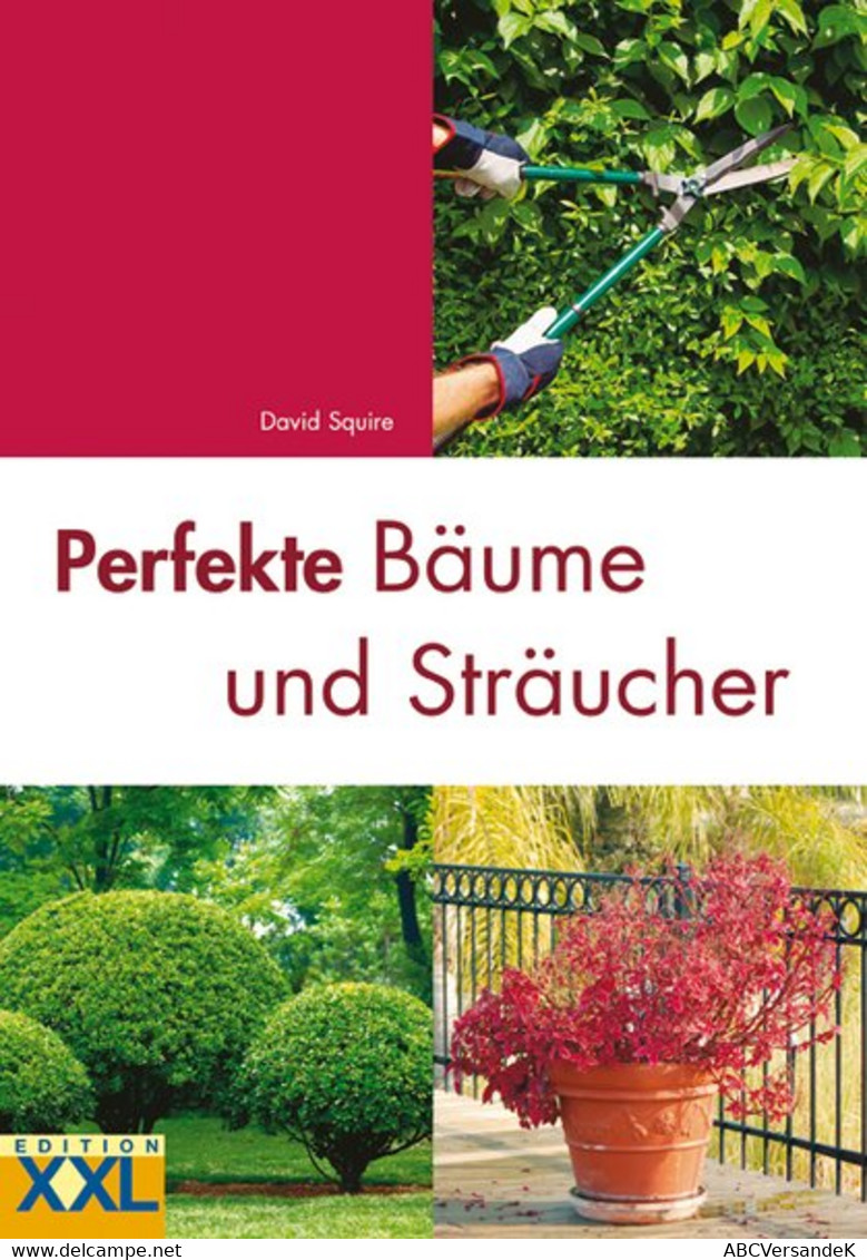 Perfekte Bäume Und Sträucher - Nature