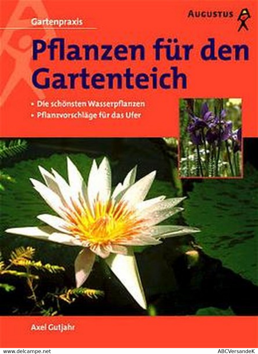 Pflanzen Für Den Gartenteich - Natuur