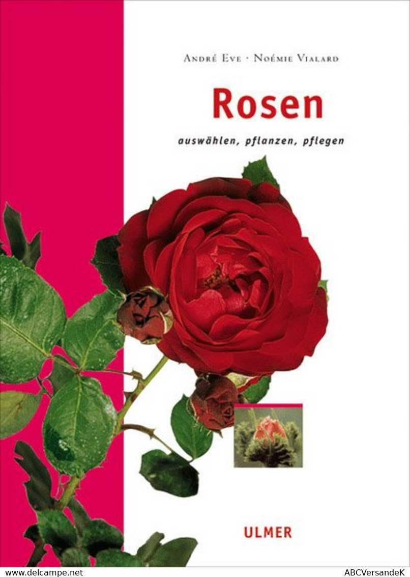 Rosen - Natuur