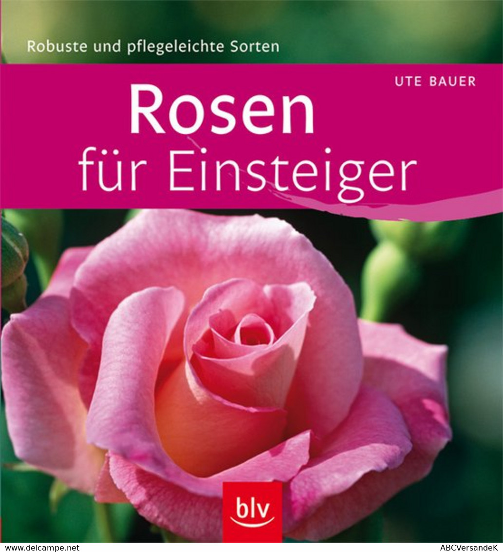 Rosen Für Einsteiger - Natuur