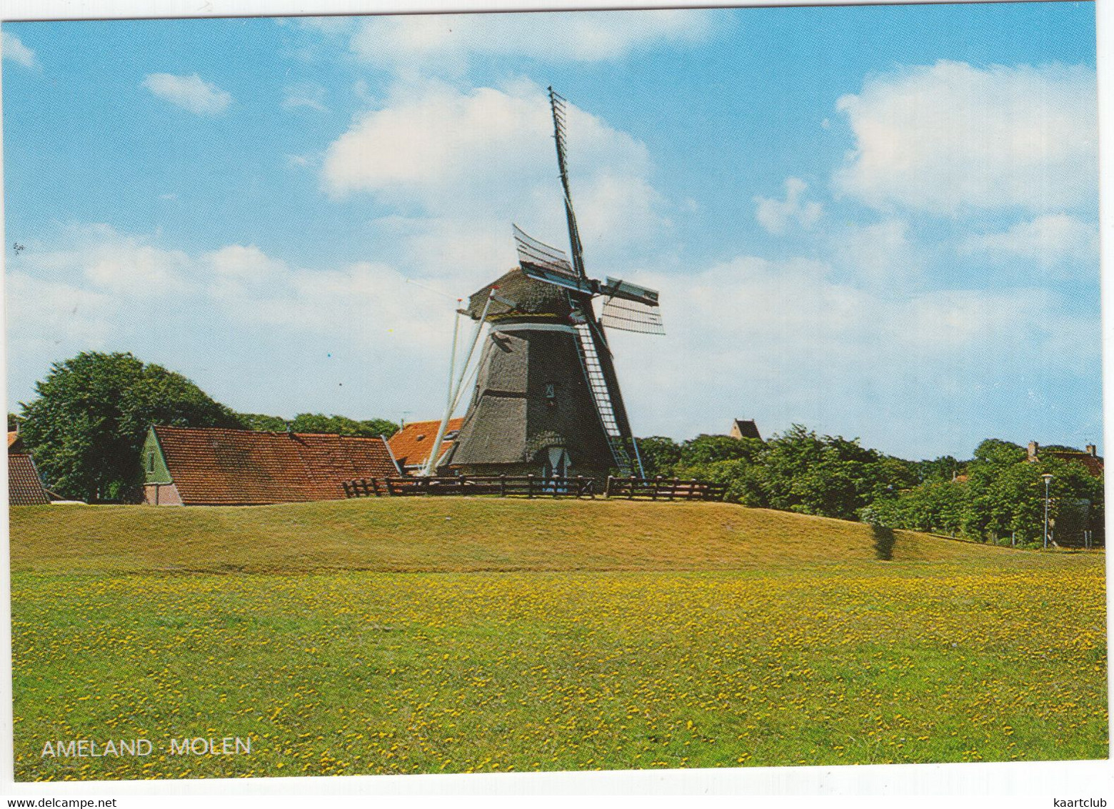 Ameland - Molen -  (Wadden, Nederland) - Nr. AMD 97 - Molen/Moulin/Mill/Mühle - Ameland