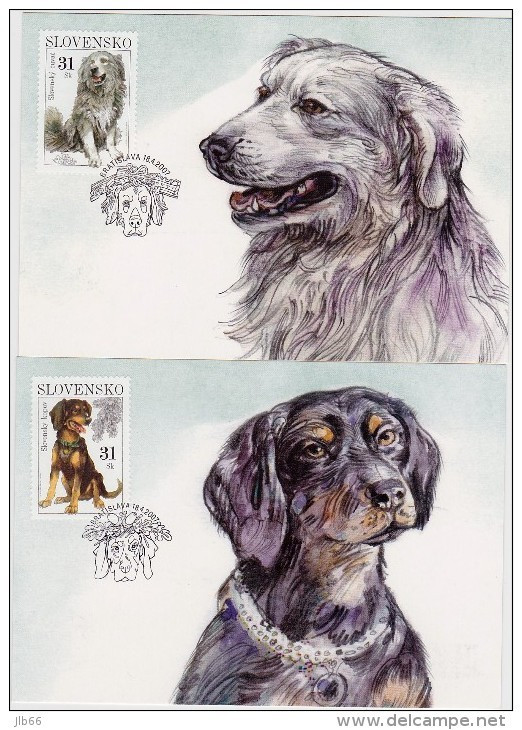 2 Cartes Maximum 2007 Chiens De Berger / Maximum Cards (2) Dogs - FDC