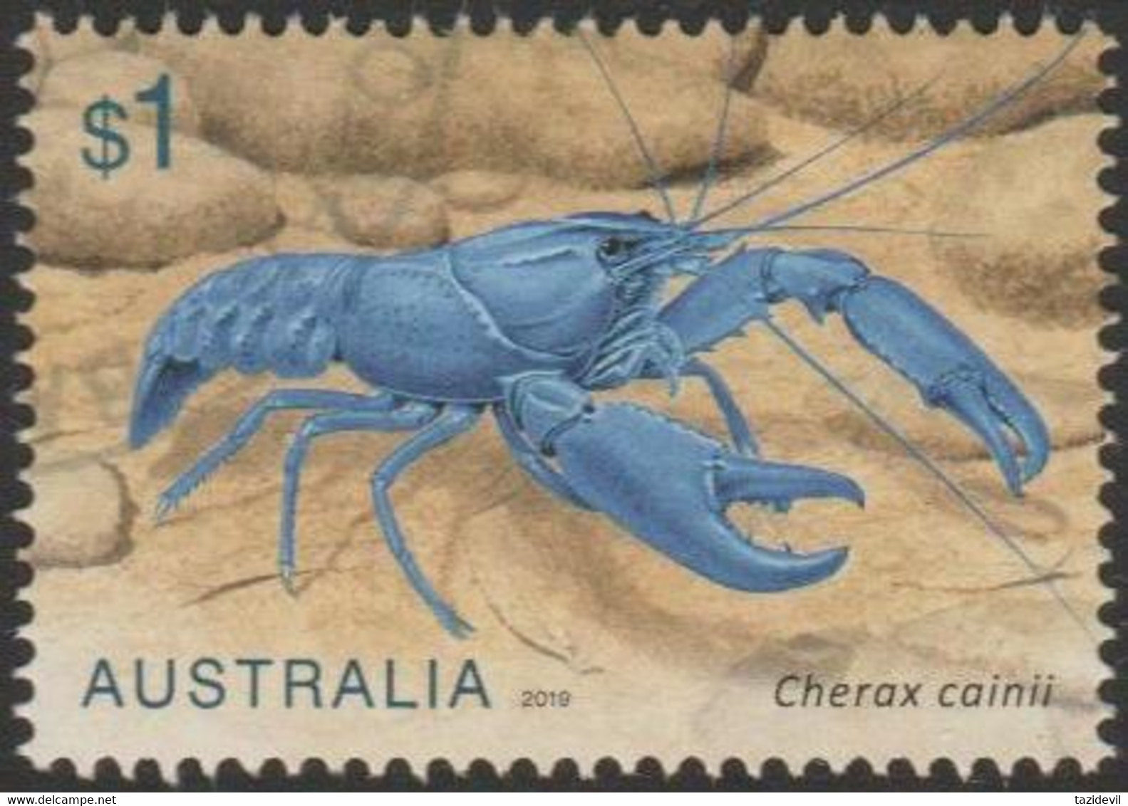 AUSTRALIA - USED 2019 $1.00 Feshwater Crayfish - Giant Tasmanian Crayfish - Usados