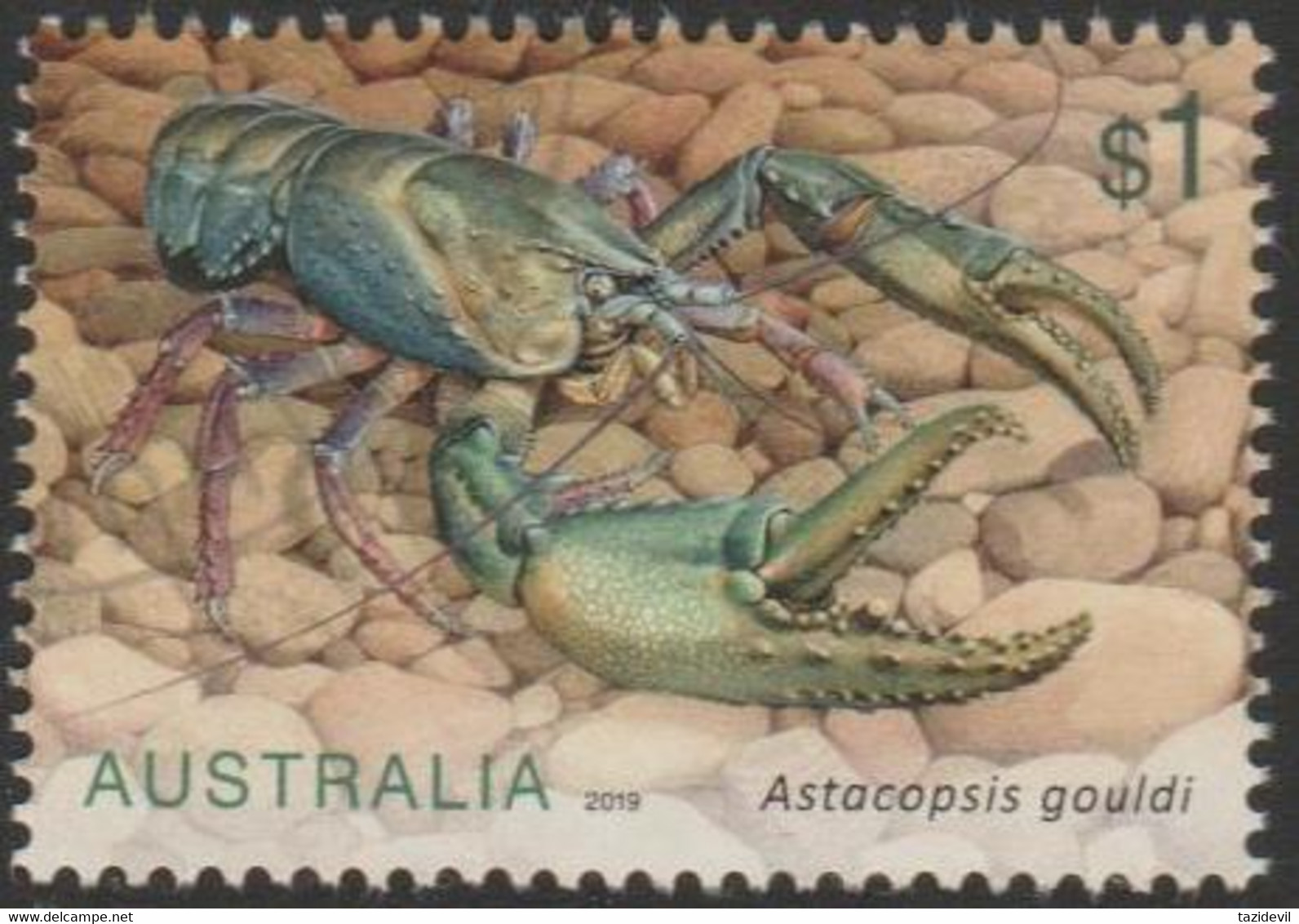 AUSTRALIA - USED 2019 $1.00 Feshwater Crayfish - Marron - Gebraucht