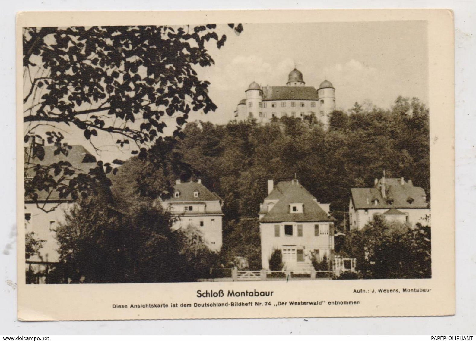 5430 MONTABAUR, Blick Auf Schloß Montabaur Und Umgebung - Montabaur