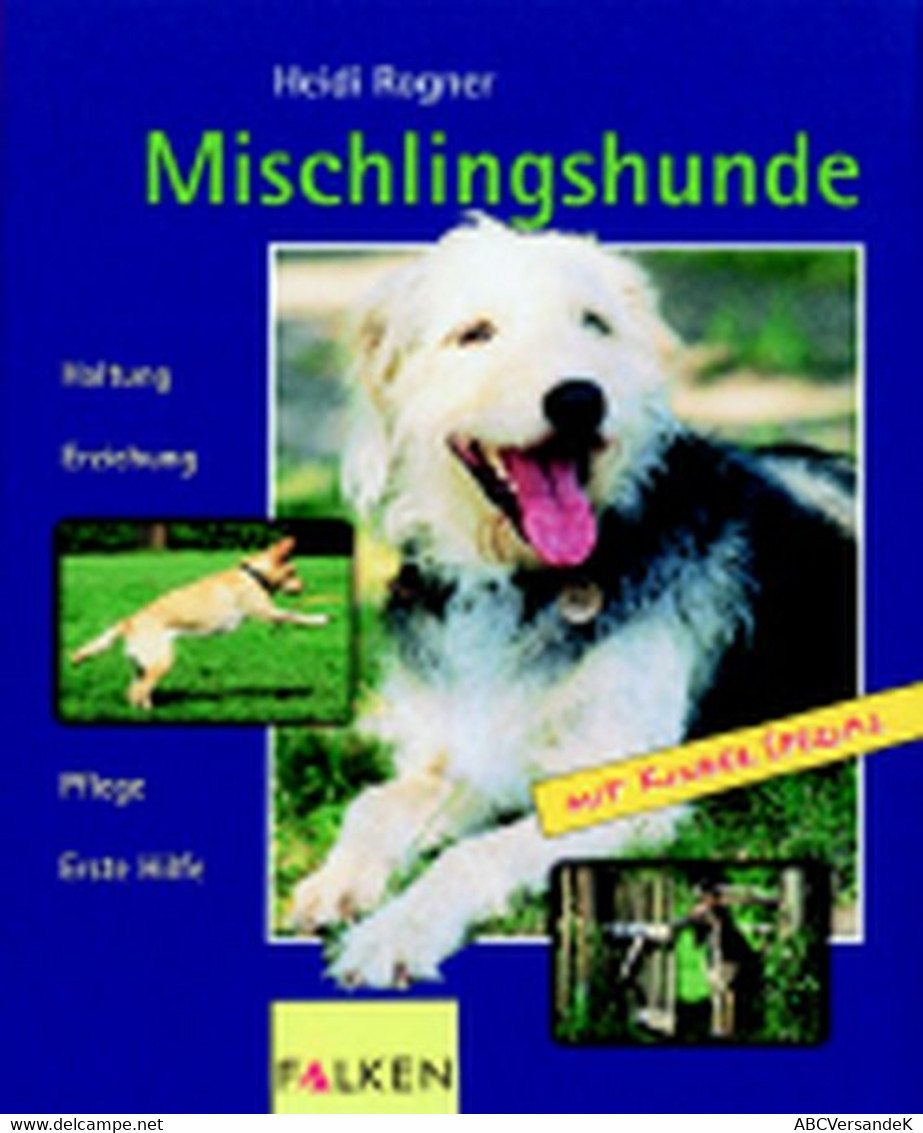 Mischlingshunde - Tierwelt