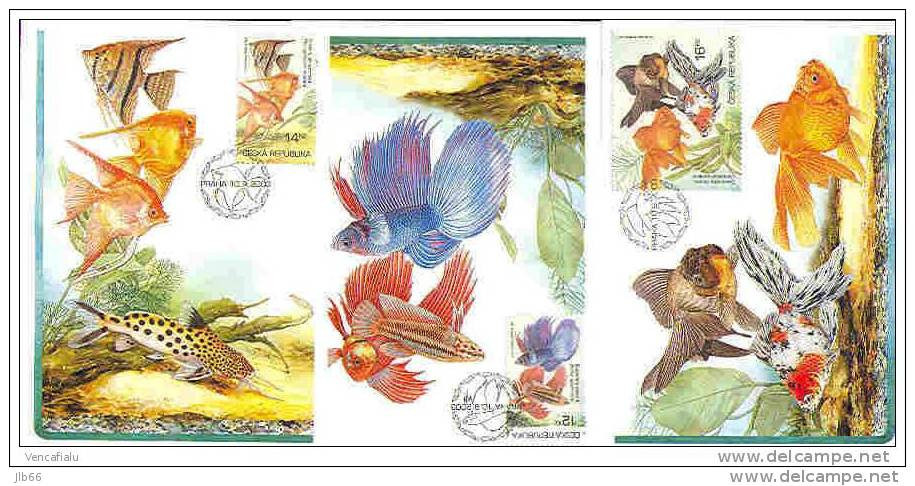 4 Cartes Maximum 2003 Poissons D' Aquarium Maximum Card Fishes - FDC