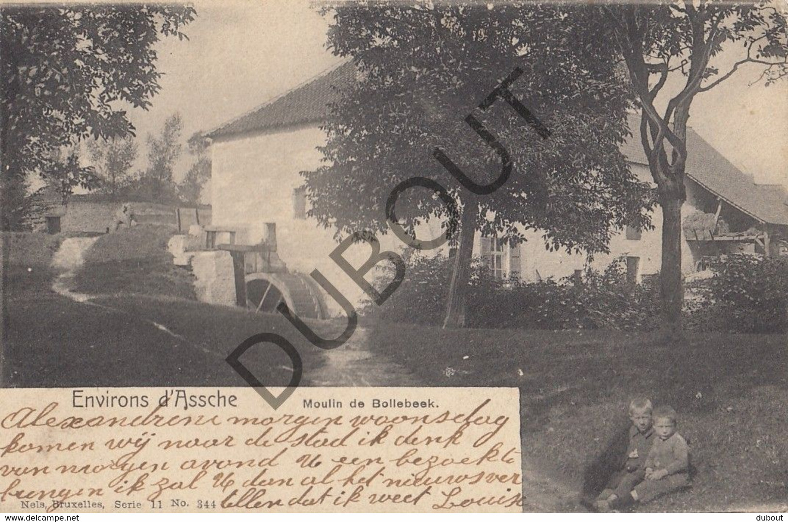 Postkaart/Carte Postale  - ASSE - Moulin De Bollebeek - Molen (C1724) - Asse