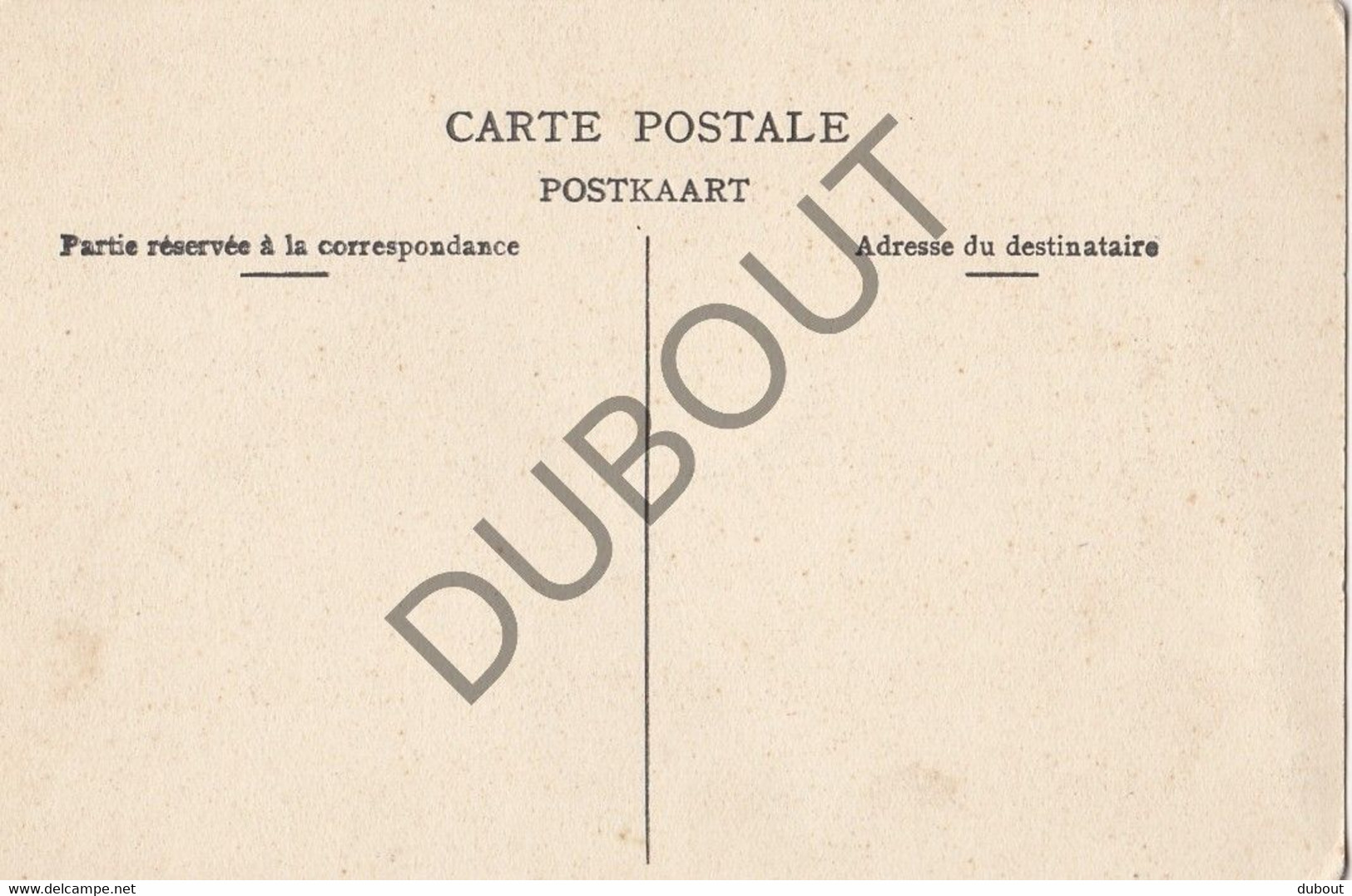 Postkaart/Carte Postale  - ASSE - Kasteel Putberg (C1591) - Asse