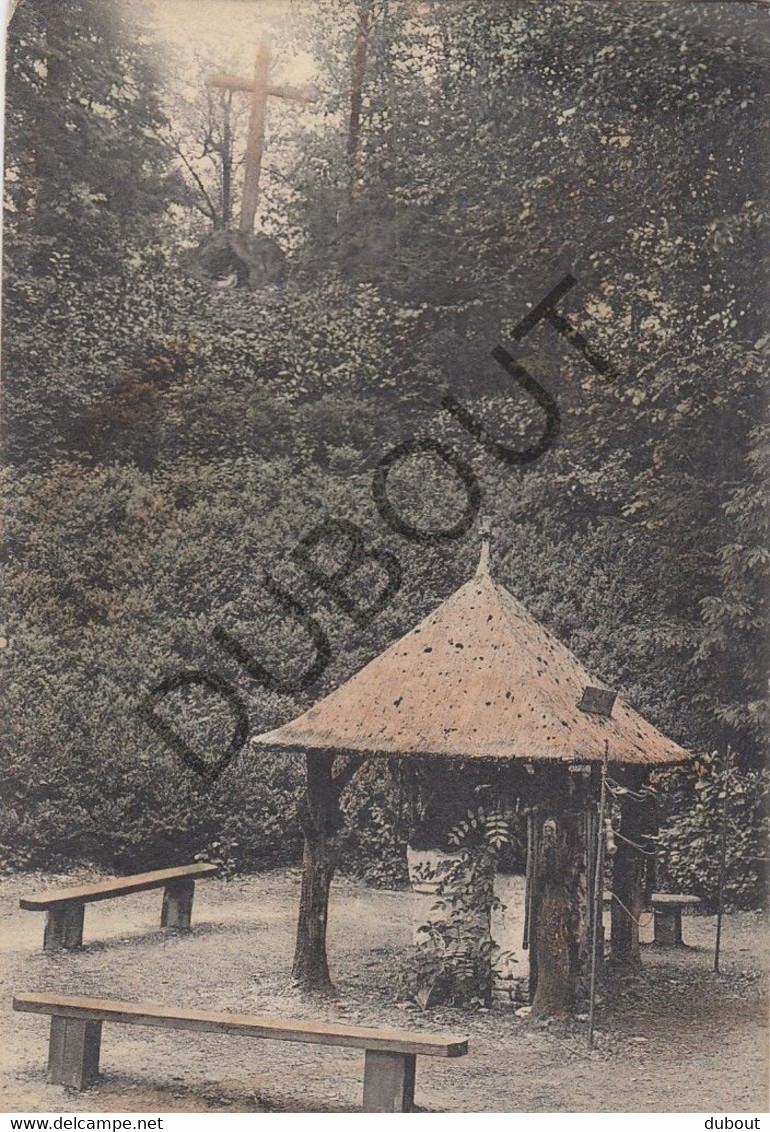 Postkaart/Carte Postale  - TIEGEM  - Petite Chapelle Et Le Calvaire   (C1671) - Anzegem