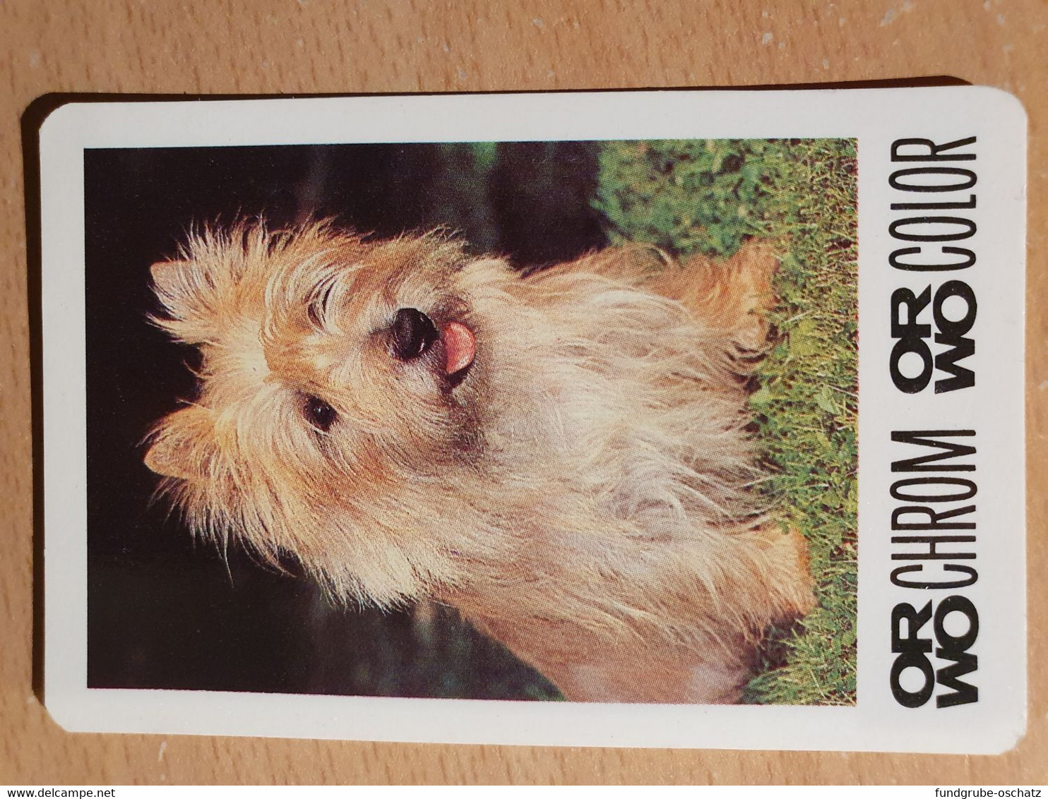 Pocket Calendar Taschenkalender DDR East Germany Filmfabrik Wolfen ORWO 1984 Hund Dog - Grand Format : 1981-90