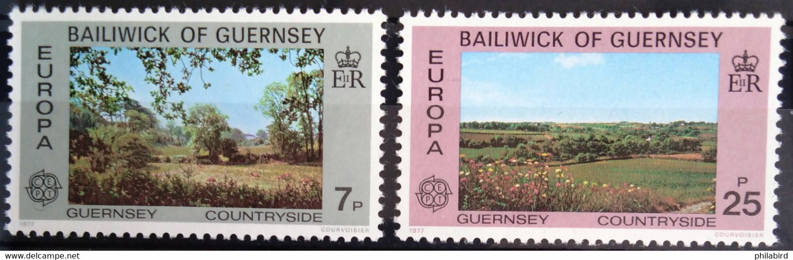 EUROPA 1977 - GUERNESEY                    N° 142/143                        NEUF** - 1977