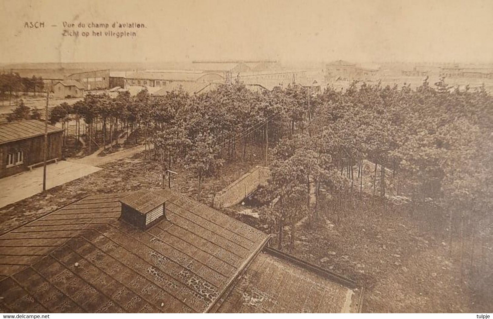 As /  Asch /   Zicht Op Het Vliegplein / Vue Du Champ D'aviation - As