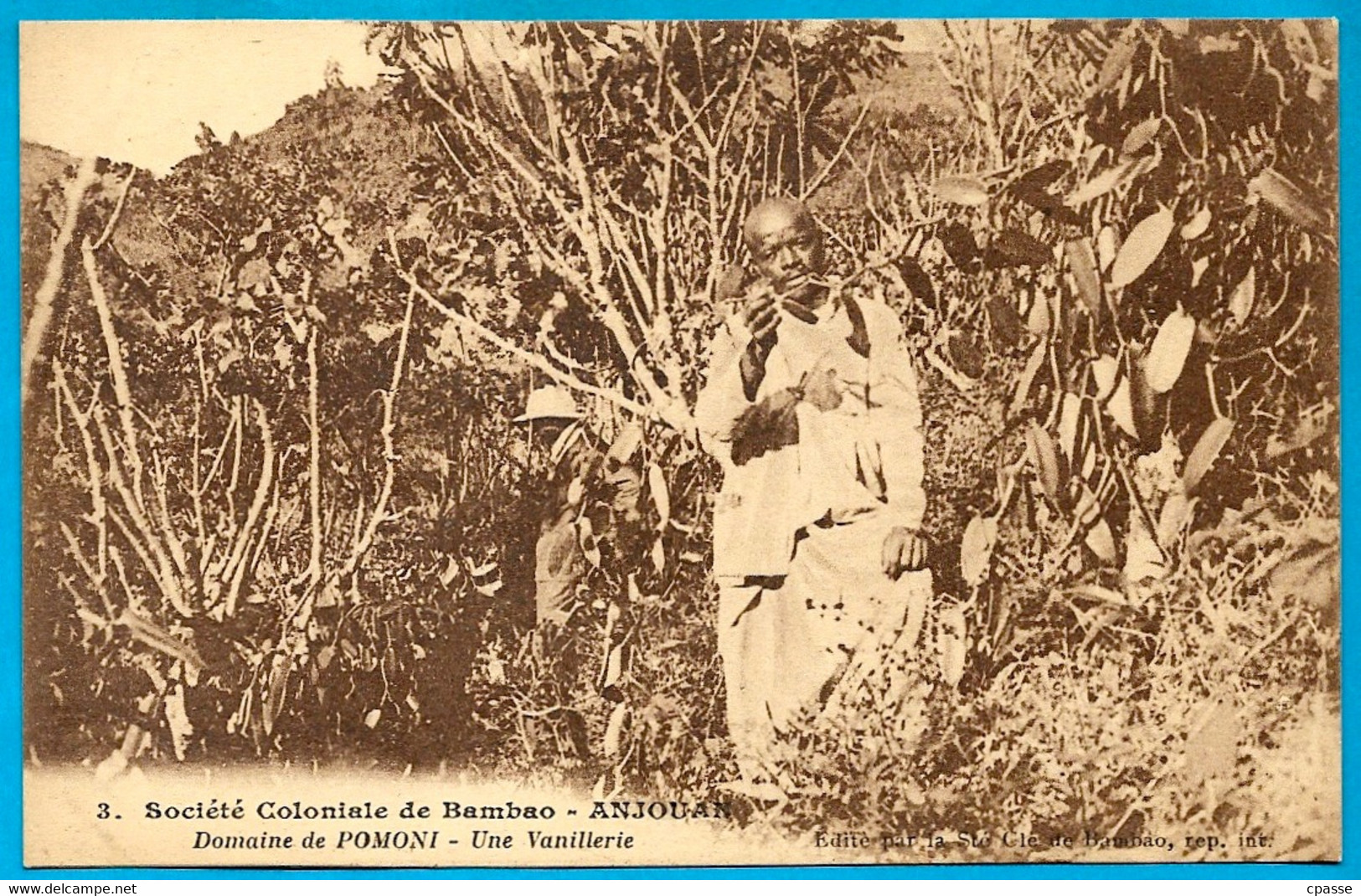 CPA Comores ANJOUAN - Domaine De POMONI - Une Vanillerie ° Société Coloniale De Bambao ** Vanille - Komoren