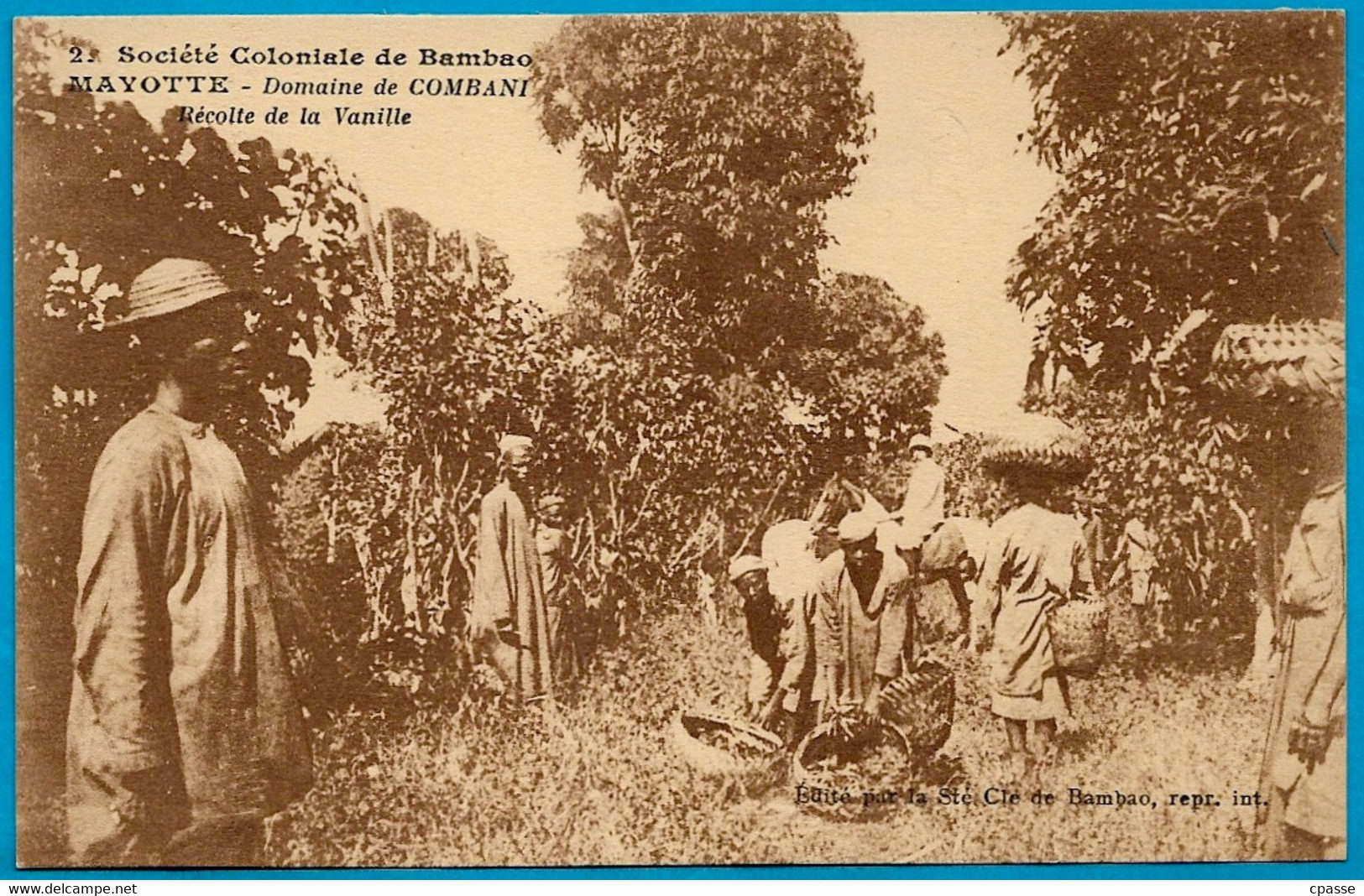 CPA 976 MAYOTTE - Domaine De COMBANI - Récolte De La Vanille ° Société Coloniale De Bambao - Mayotte