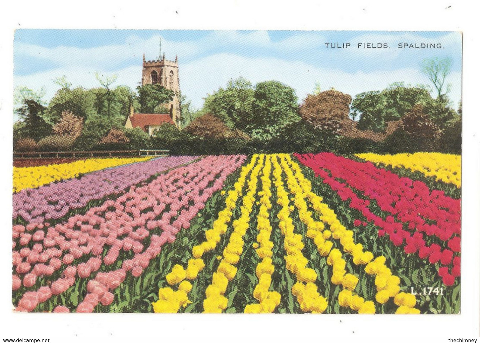 RP Spalding Lincolnshire Unused Tulip Fields - Other & Unclassified