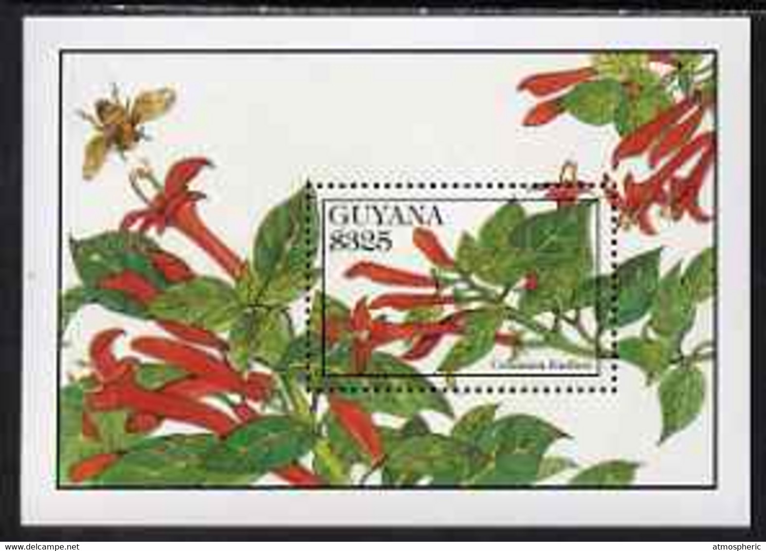 Guyana 1994 Flowers $325 Perf M/sheet (Columnea Fendleri) Unmounted Mint, SG MS 3910b - Guiana (1966-...)