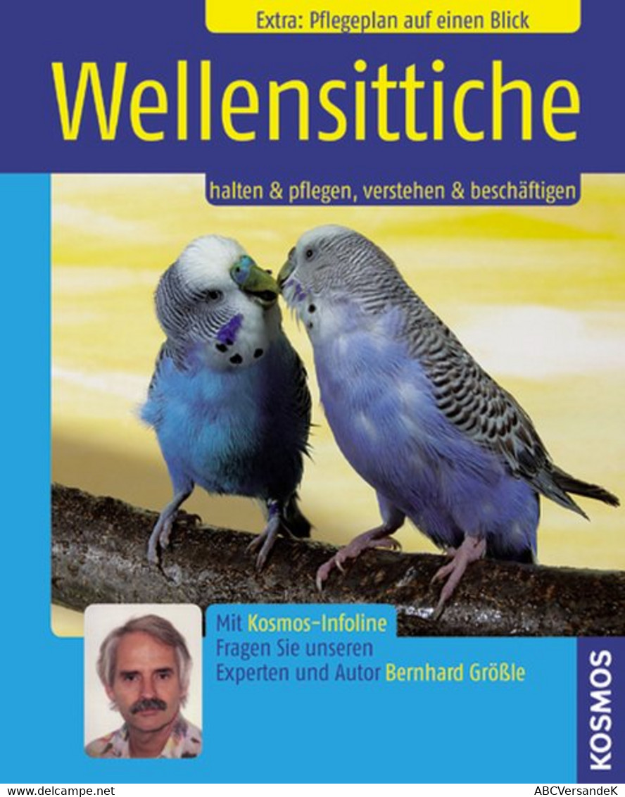 Wellensittiche - Animaux