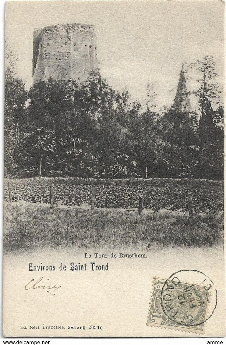 Sint-Truiden  * Environs De  Saint-Trond  - La Tour De Brusthem  (Nels, 66/10) - Sint-Truiden