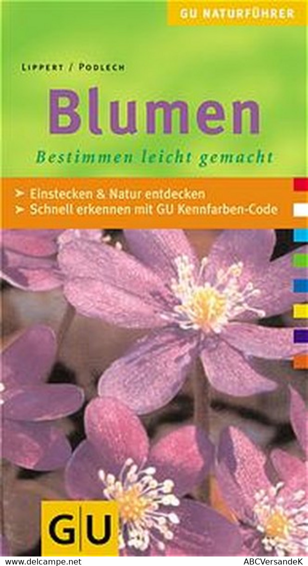 Blumen - Natura