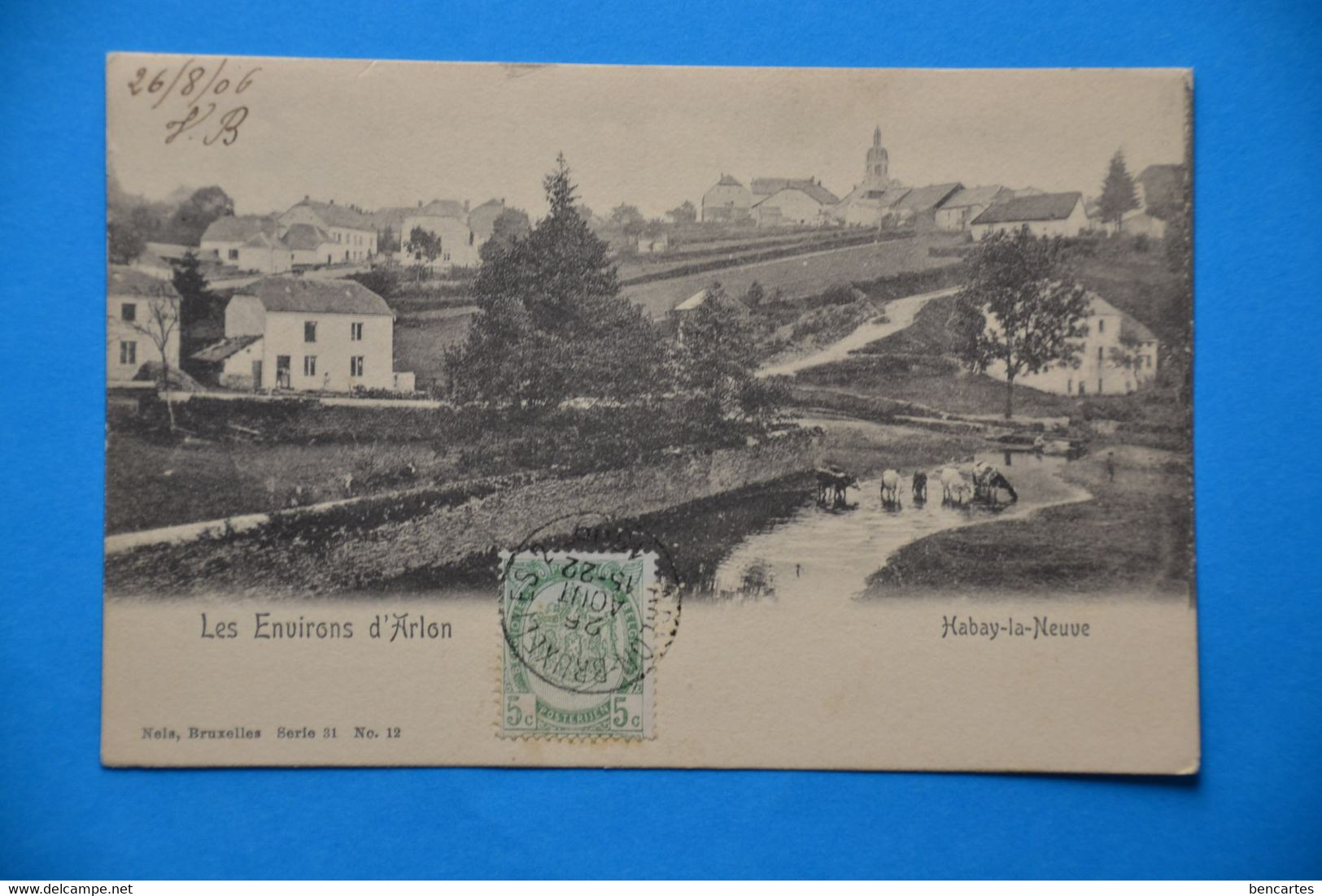 Habay-la-Neuve 1906: Les Environs D'Arlon Avec Vaches Et Berger - Habay