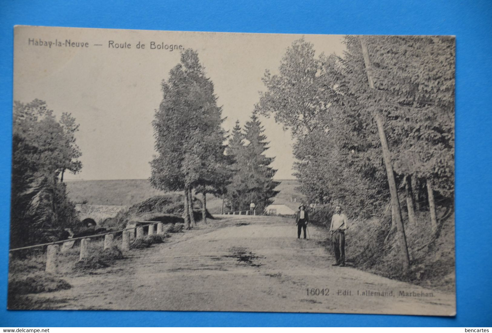 Habay-la-Neuve : Route De Bologne Animée - Habay