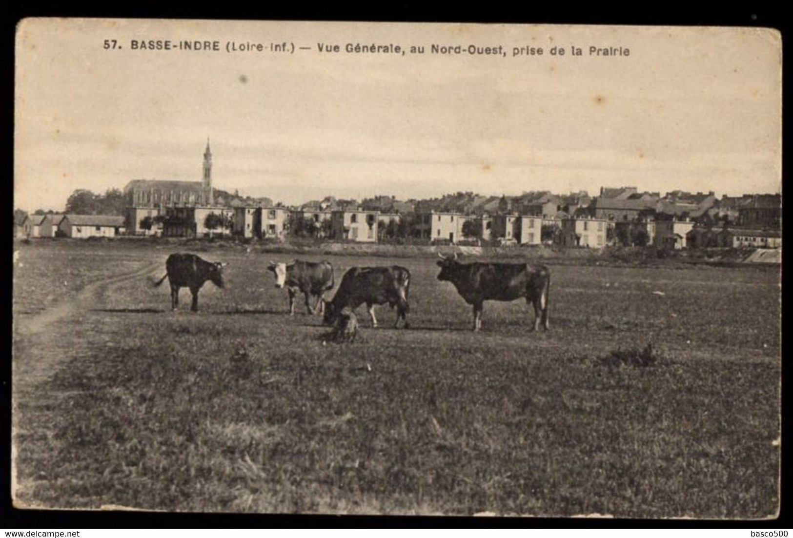 BASSE INDRE : Vue Nord Ouest Prise De La PRAIRIE Avec Vaches - Basse-Indre