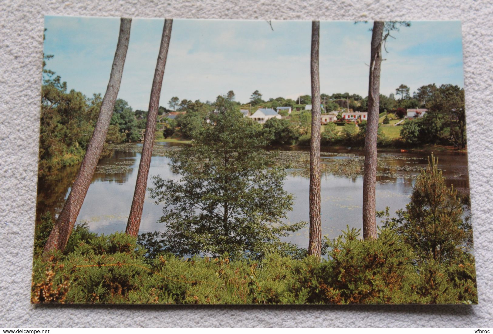 G663, Cpm, Moisdon La Rivière, L'étang De La Forge, Loire Atlantique 44 - Moisdon La Riviere