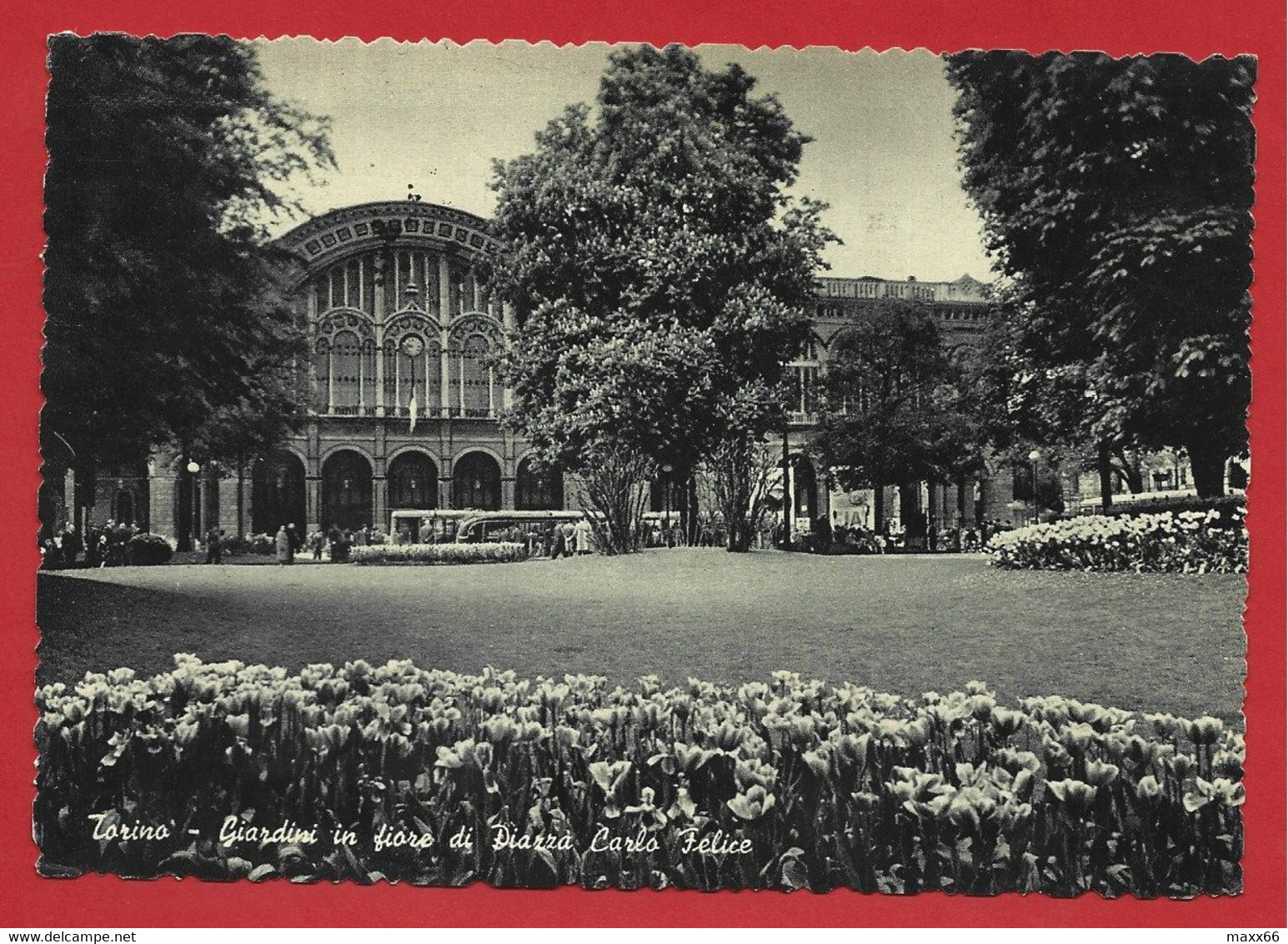 CARTOLINA VG ITALIA - TORINO - Giardini In Fiore Di Piazza Carlo Felice - 10 X 15 - 1957 - Parken & Tuinen