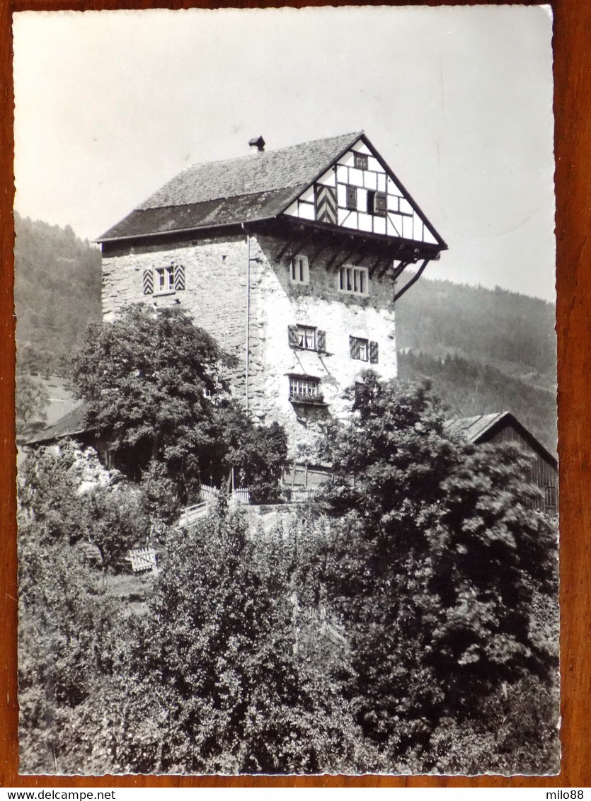 SVIZZERA SUISSE -ALTSTATTEN ST.GALLEN -F.G. - Altstätten