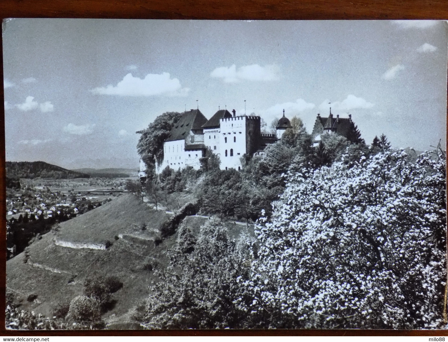 SVIZZERA SUISSE -LENZBURG ARGOVIE AARGAU -F.G. - Lenzburg