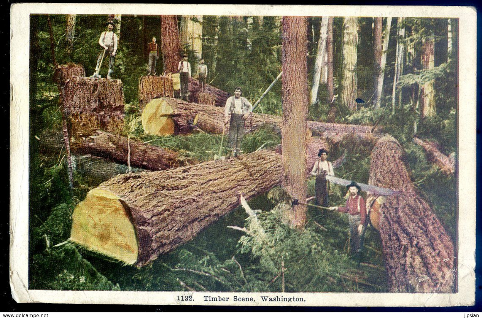 Cpa USA  Washington , Timber Scene    JA22-67 - Seattle