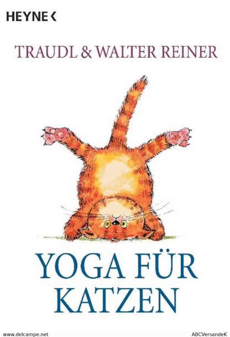 Yoga Für Katzen - Humor