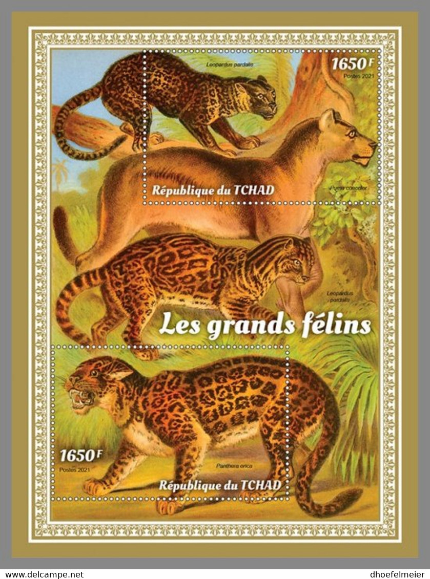 CHAD 2021 MNH Big Cats Raubkatzen Großkatzen M/S - OFFICIAL ISSUE - DHQ2202 - Felini