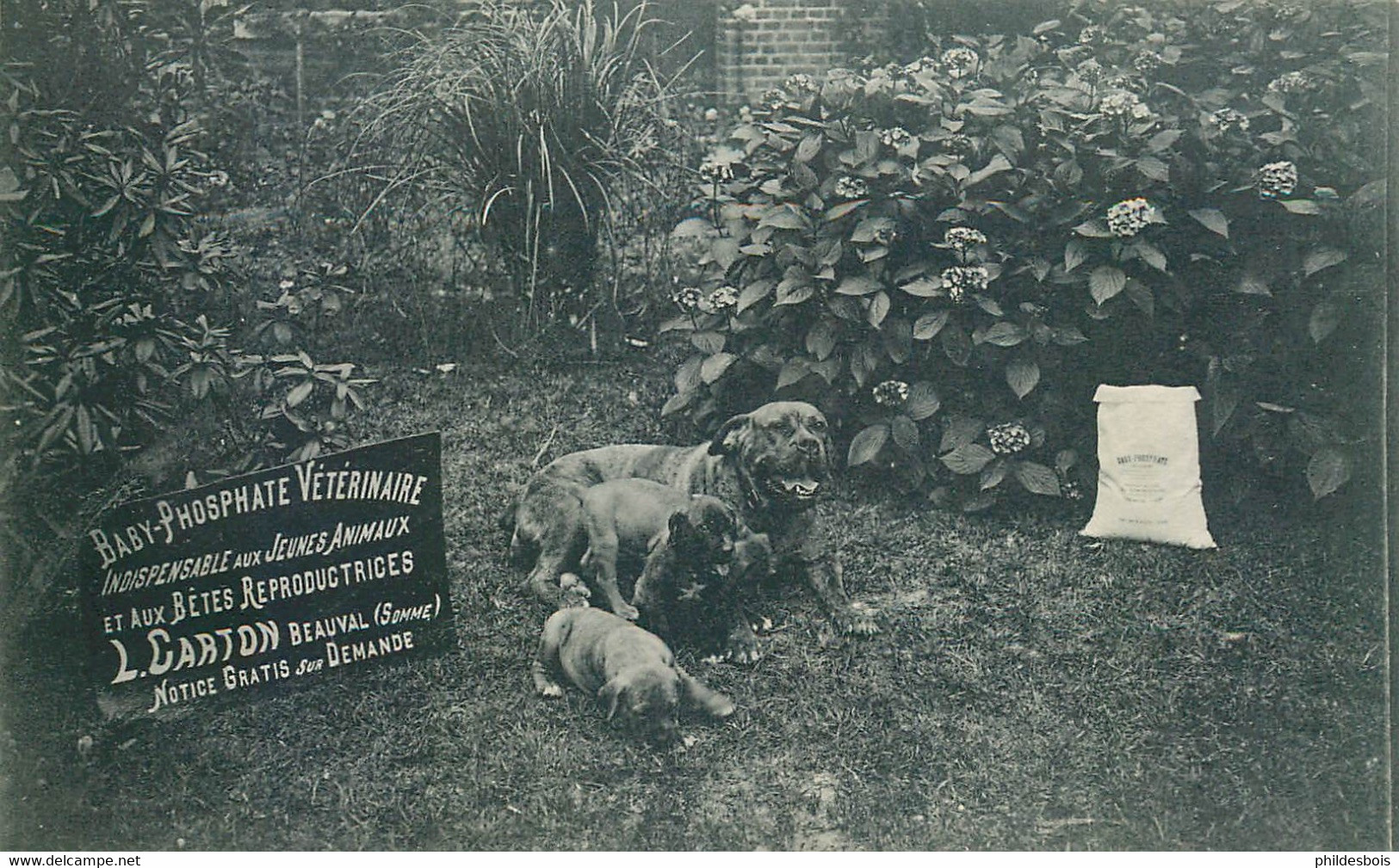 SOMME  BEAUVAL  Publicité  L.Carton  Vétérinaire - Beauval