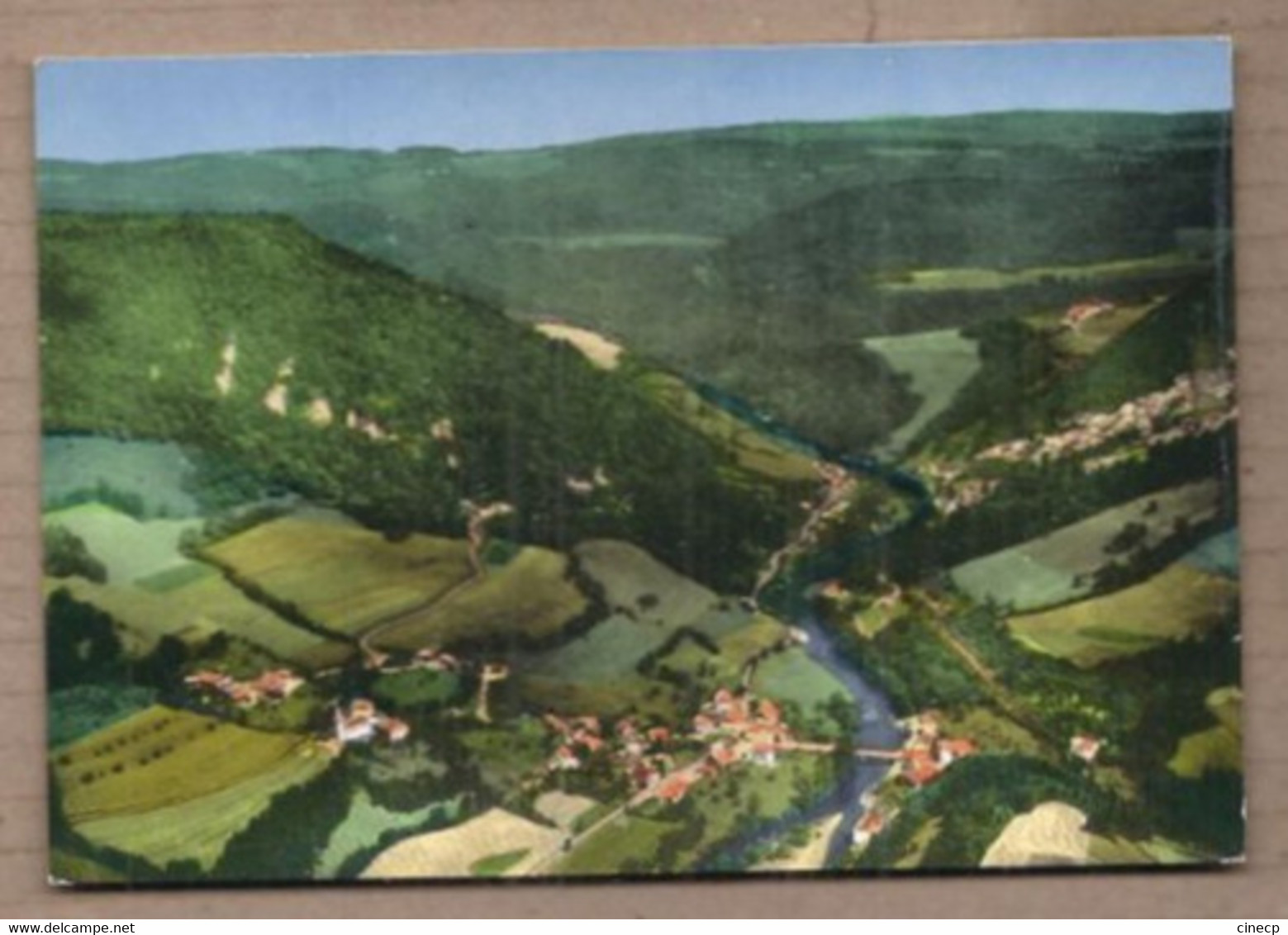 CPSM SUISSE - GOUMOIS - En Avion Au-dessus De... - Jolie Vue Générale Du Village - Goumois