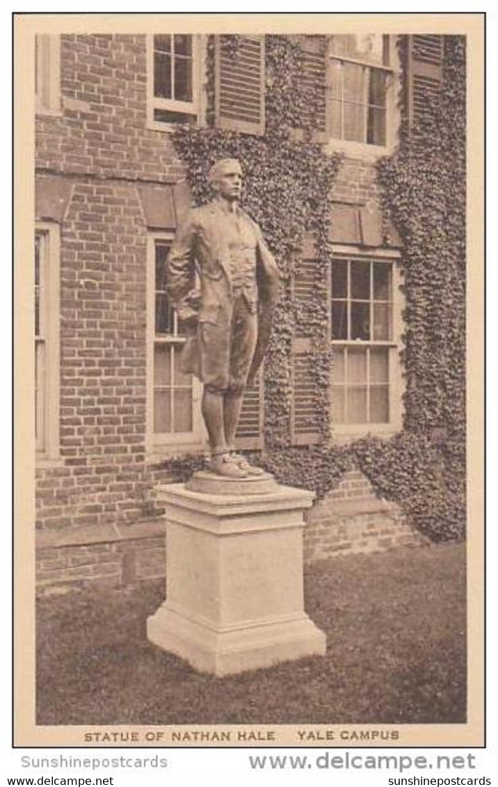 Connecticut New Haven Statue Of Nathan Hale Of Yale University Albertype - New Haven