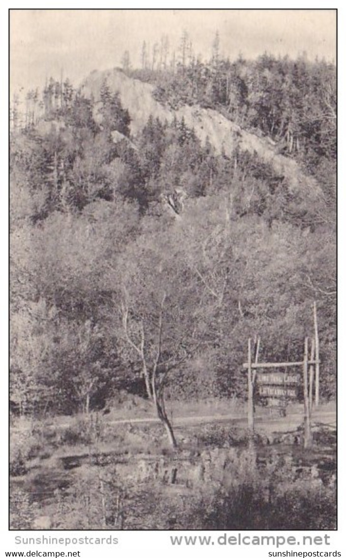 Deer Leap From Long Trail Lodge Of The Green Mountain Club Rutland Vermont Albertype - Rutland