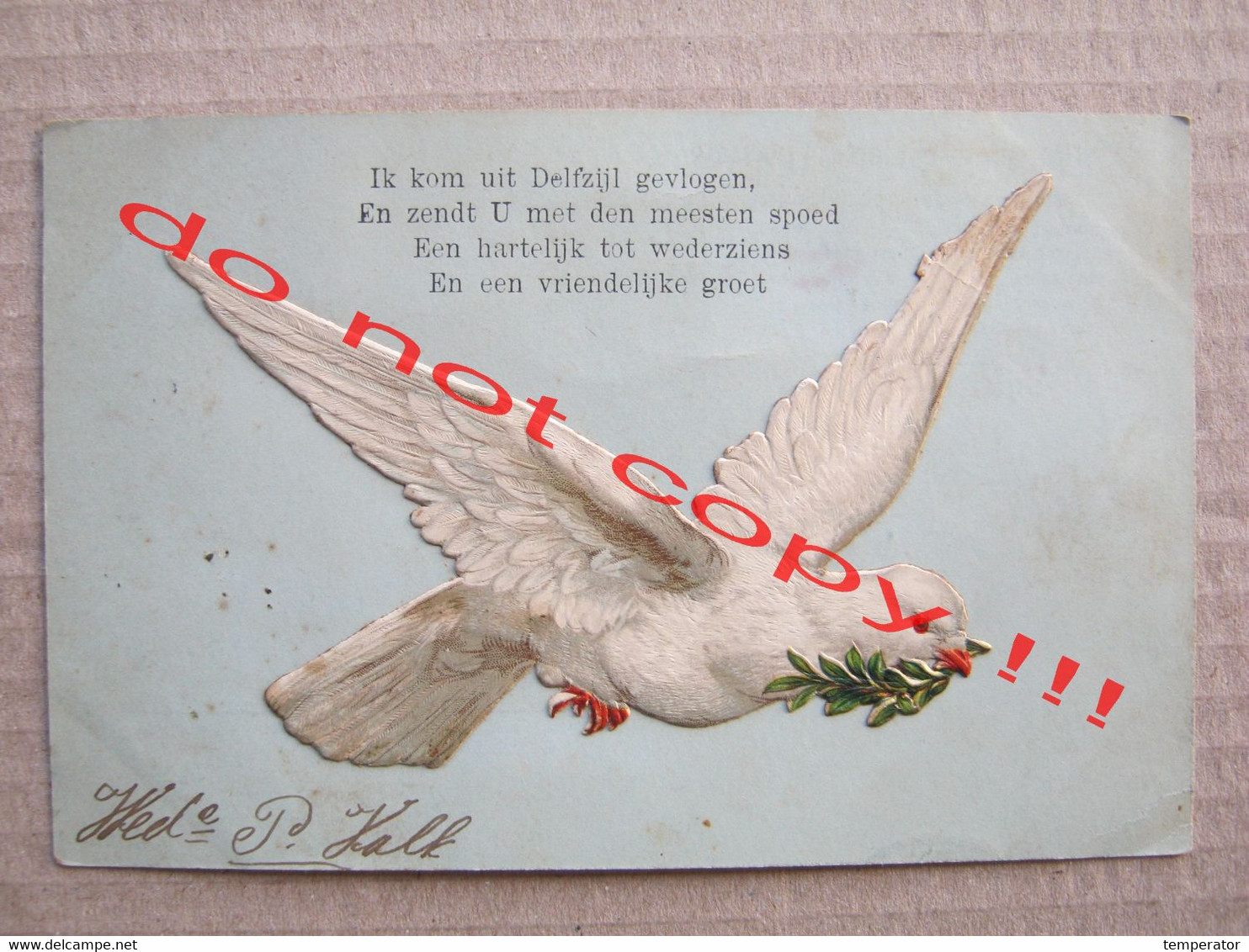 White Dove With Twig / Netherlands - Delfzijl Gevlogen ... ( 1905 ) Ges. Gesch - Delfzijl